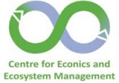 Logo Centre for Econics