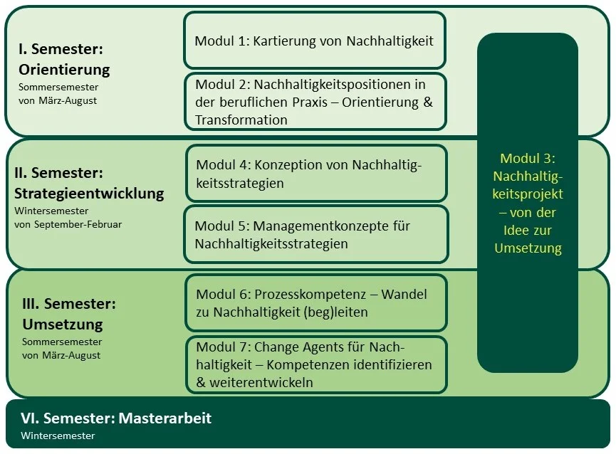 Übersicht des Studienaufbaus Übersicht des Studienaufbaus
