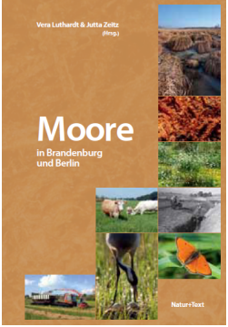 Cover_Moore_BB+B