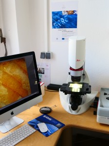 © HNEE Kommunikationsmaßnahme Mikroskop und Mikrotom