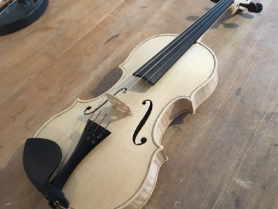 Geige TMT 1