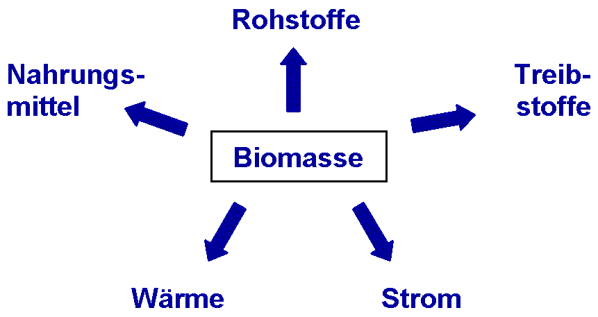 Verwendungsmöglichkeiten für Biomasse
