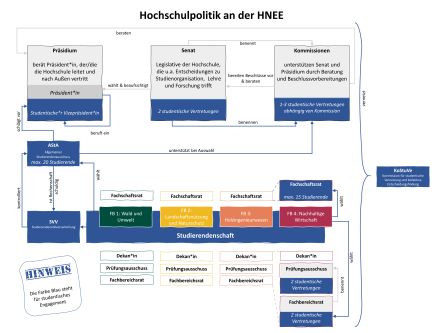 Hochschulpolitik_Struktur_final