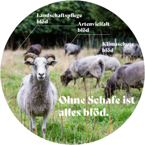 WK_Lamm_Sticker_bloed_vorne