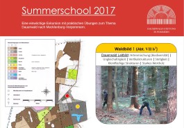 Sommerschool Dauerwald