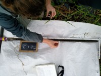 Bodenanalyse bei Feldarbeiten im Nationalpark Unteres Odertal, Foto: U. Schmitt
