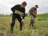 Pflanzarbeiter mit Pappelruten auf neuer Versuchsfläche Kerkow