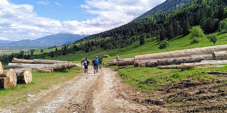 Excursion in the Piatra Craiului National Park, Romania 2024