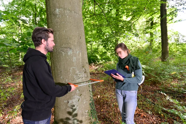 Studierende im Wald Studierende im Wald