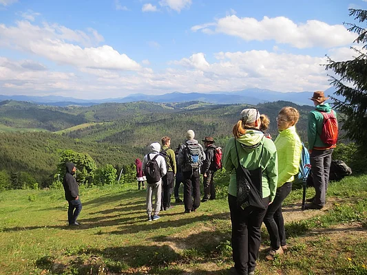 South of Bukovel ski resort, Ukraine - A short hike to get an impression of the ecological impact