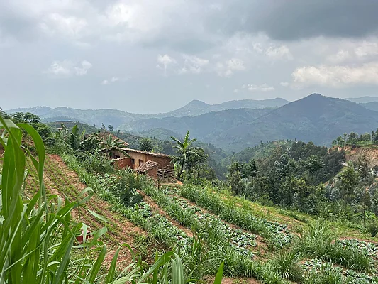Landschaft Western Rwanda