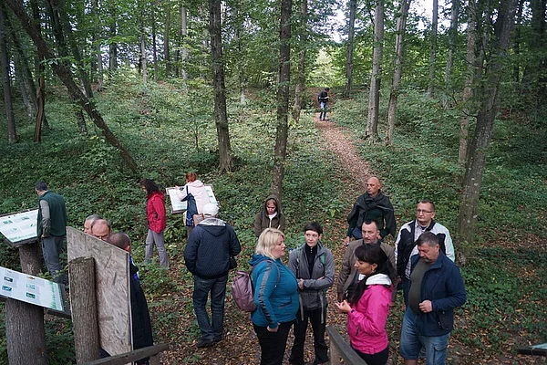 Excursion to "Beech Land" reserve 