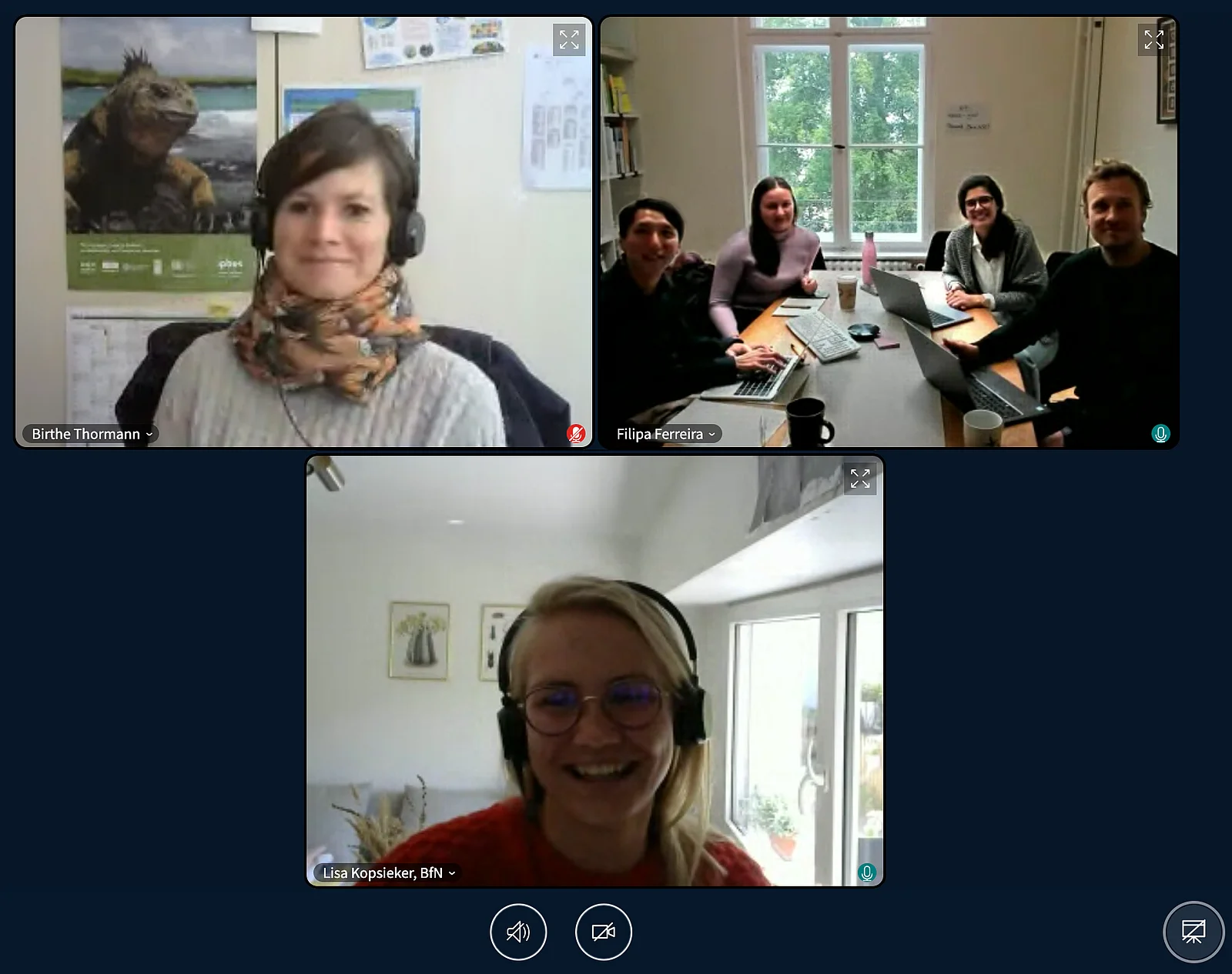 Screenshot eines Onlinemeetings