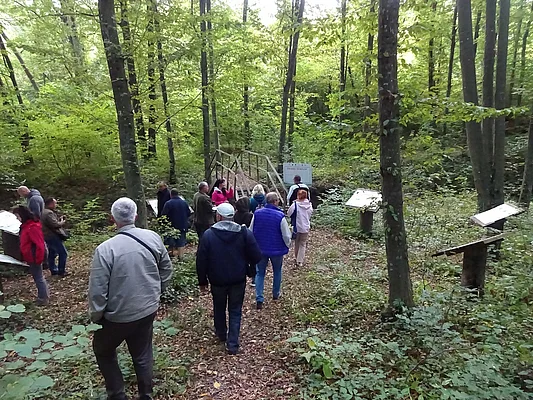 Excursion to "Beech Land" reserve