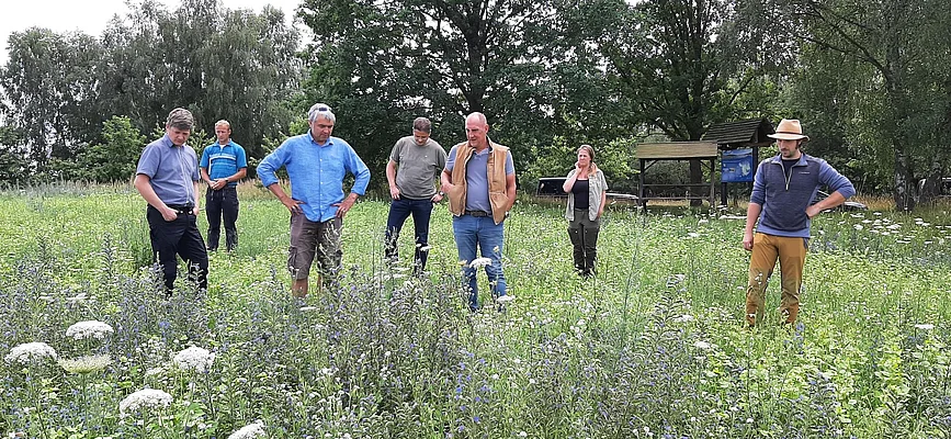 Feldrundgang zum Thema Ackerwildkrautschutz
