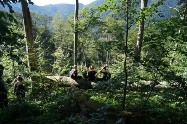 Drei Menschen sitzen auf einem gefallenen Baumstamm in einem Urwald.