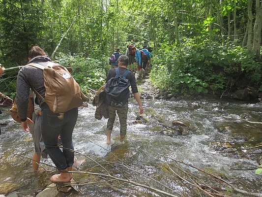 Shyrokyj Luh forest - river crossing