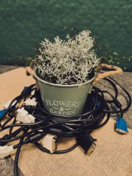 Ausbildung in der Fachinformatik Computerkabel sind um einen Blumentopf gewickelt.