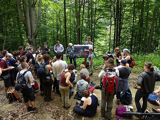 Skole Beskid - introduction of the area 