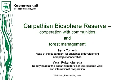 Presentation CBR (Yonash & Pokynchereda)