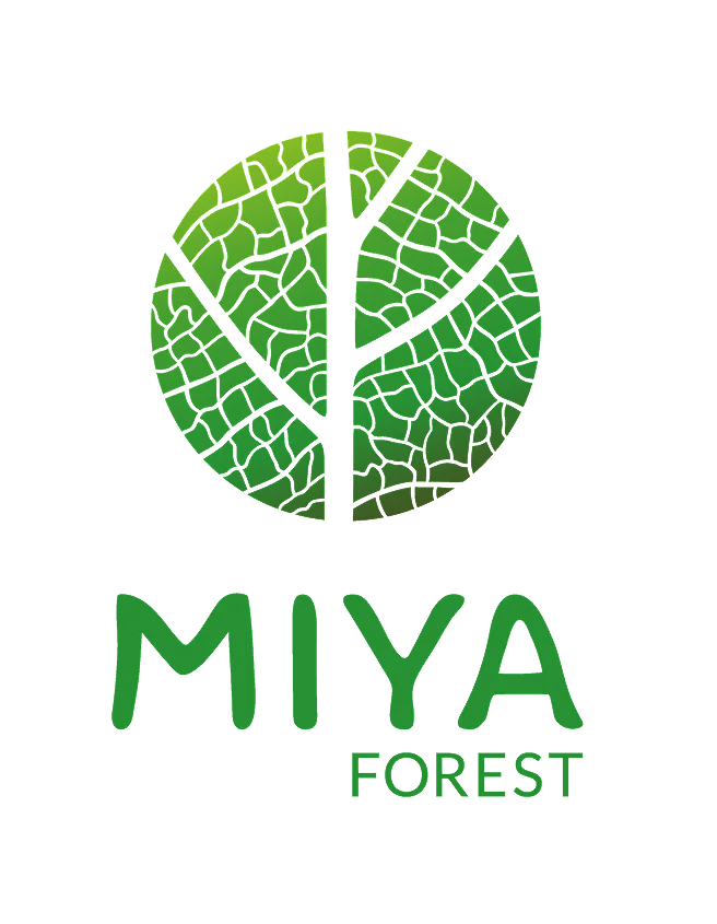 Miya Forest