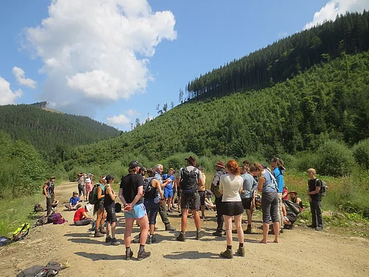 Excursion group in intensively harvested forest near Lopukhovo