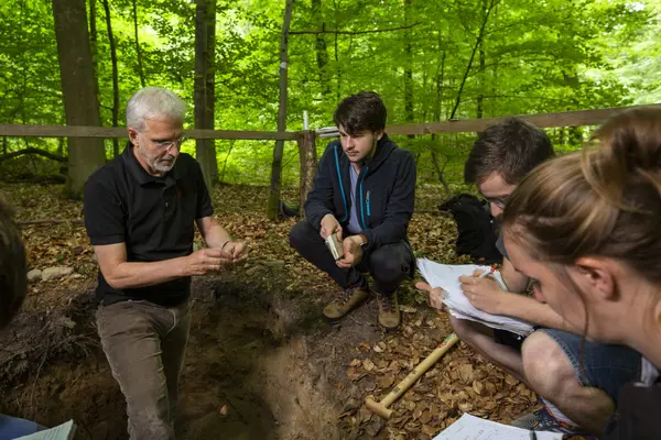Forest soil profile Ein Forscher steht im Wald in einer Grube zur Ansprache des Bodenprofils. Er zerbröselt etwas Boden mit den Findern. m Rand der Grube hocken drei weitere junge Forschende.