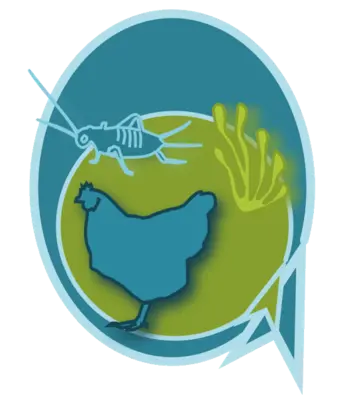 Logo des Projekts sLowFeedChickIns Logo des Projekts sLowFeedChickIns