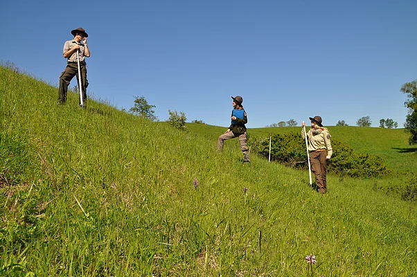 Nationalpark Unteres Odertal, Revier Mitte, Foto: Milena Kreiling