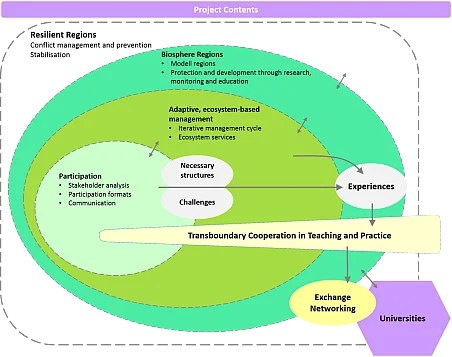 Project logic and main contents