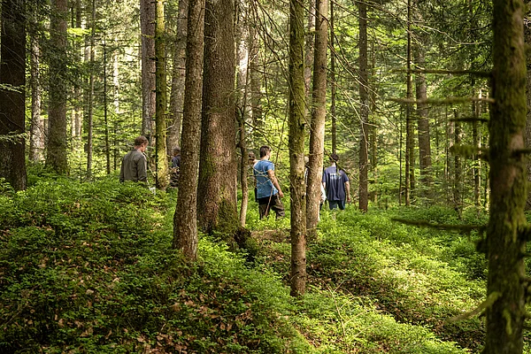 Studierendengruppe im Wald mit Heidelbeerenboden