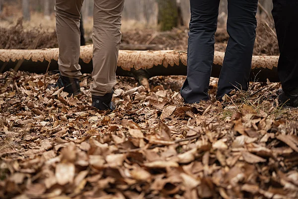 Studierenden stehen im Wald, bei einem Baum, der vom Biber gefällt wurde