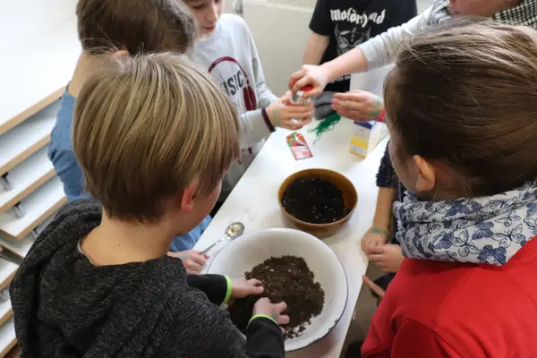 KinderUni Barnim Uckermark 2019 Schulkinder verkneten Erde und Samen zu kleinen Kugeln