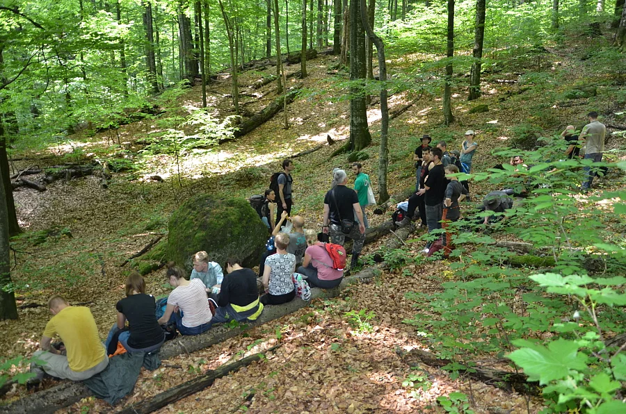 Appreciating Uholka primeval Beech forest 