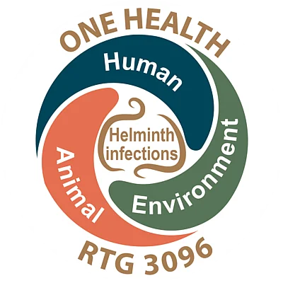 One Health Schweine
