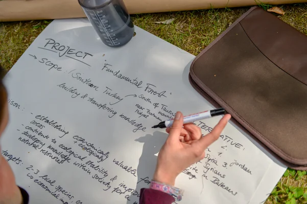 Brainstorming im Wald Brainstorming im Wald