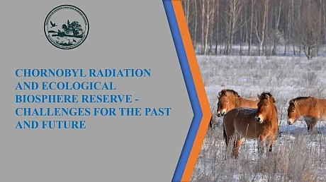 Presentation Chornobyl BR (Malyarenko)