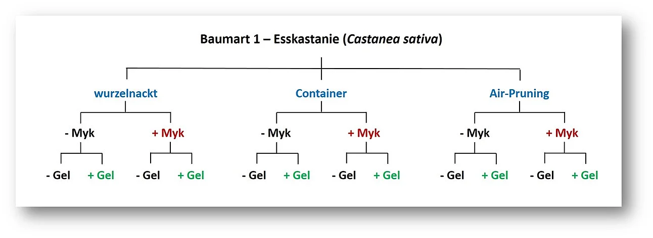 Schaubild zum Versuchsaufbau