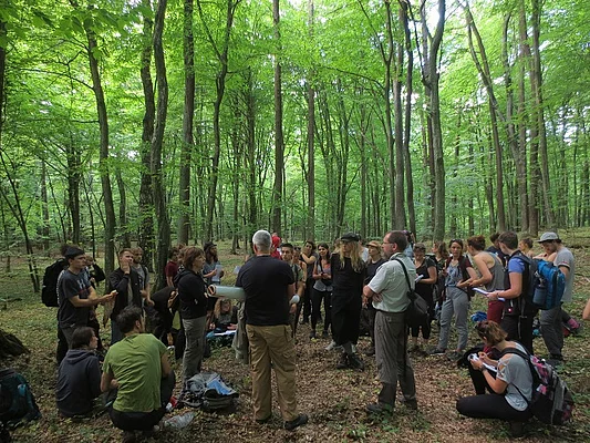 Roztochya BR - UNESCO Beech Forest WHS component part  