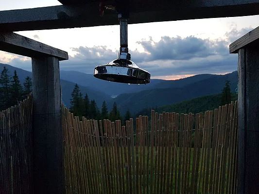 The shower view
