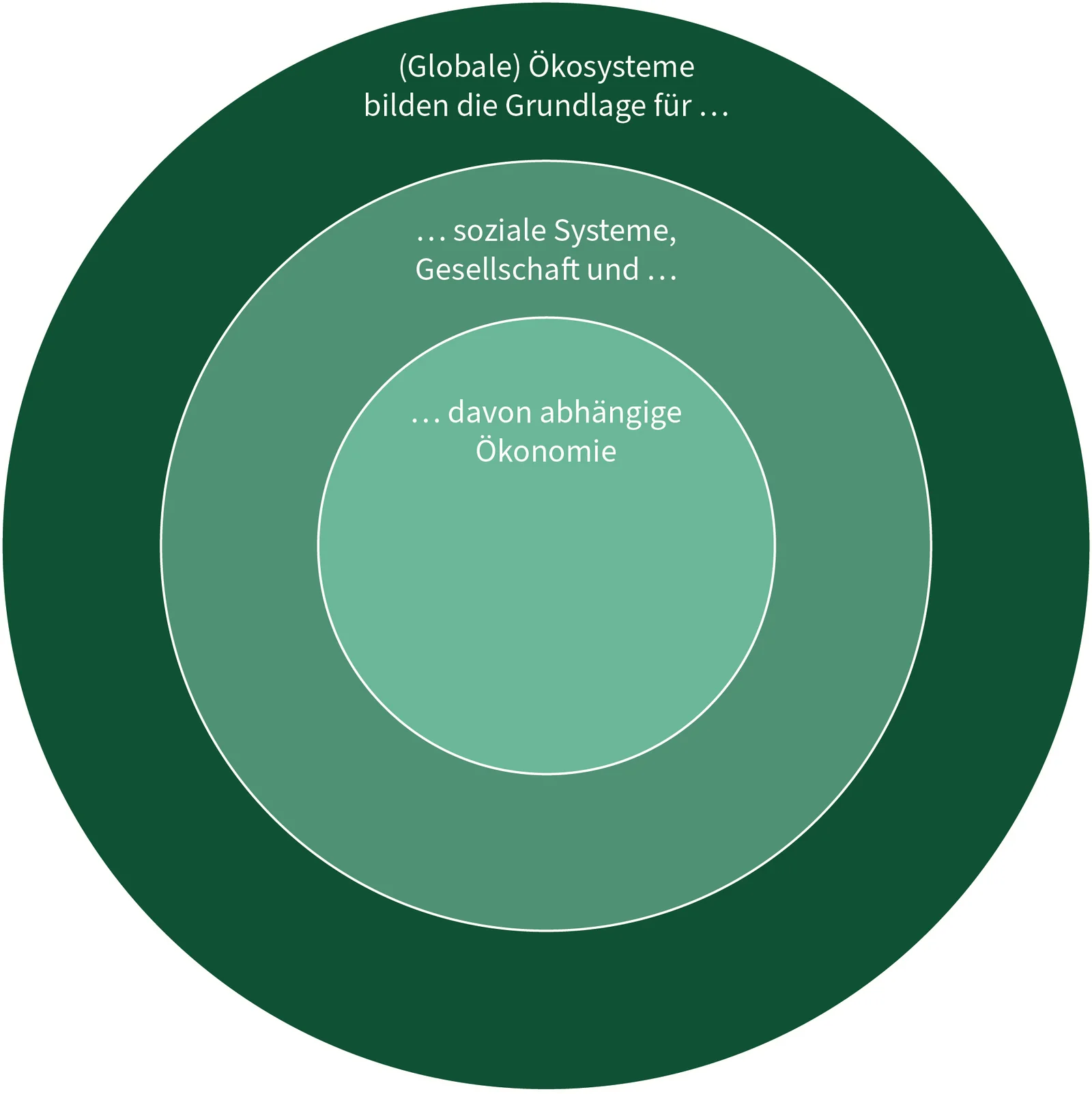 Systemic understanding of sustainability at HNEE Die Abbildung verdeutlicht das Zusammenspiel von globalen Ökosystemen, sozialer Systeme und der Gesellschaft sowie der davon abhängigen Ökonomie.