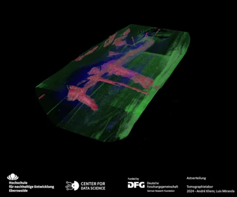 Astverteilung Der CT-Scan zeigt die Astverteilung im Inneren des Holzes.