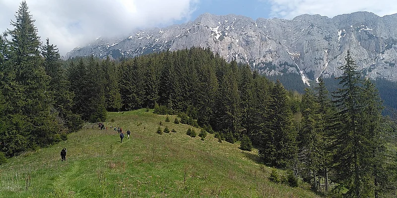 Between Făgăraș Mountains & Piatra Craiului NP