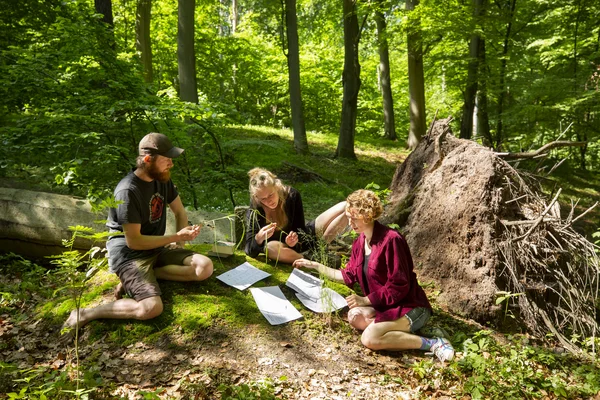 Datenaufnahme auf Versuchsflächen Datenaufnahme auf Versuchsflächen
