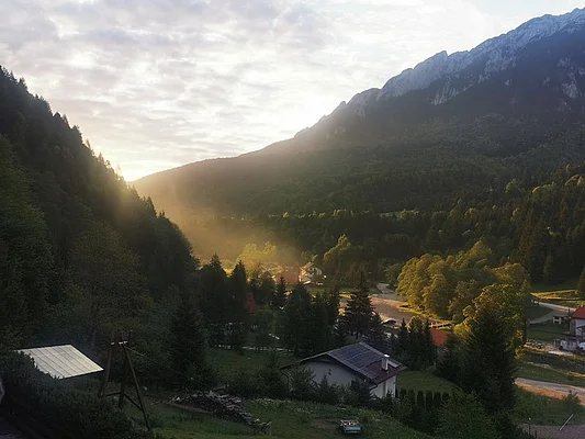 Ausblick