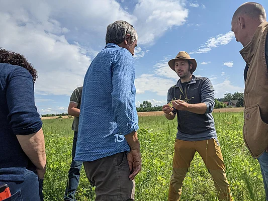 Feldrundgang zum Thema Ackerwildkrautschutz