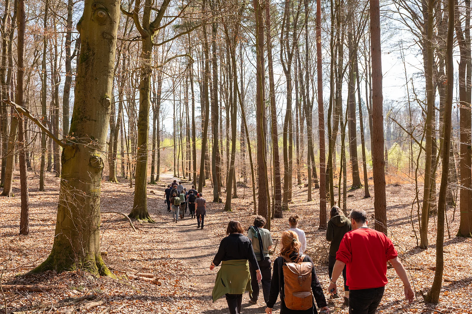 Gruppe im Wald
