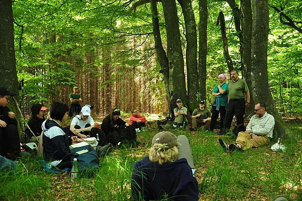 CBR team talk in the “Izvoarele Nerei” beech forest / Semenic NP