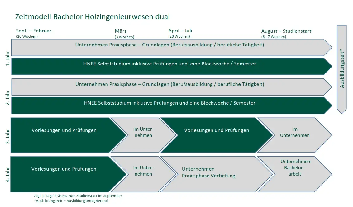 Zeitmodell für das duale Studium Holzingenieurwesen Das Zeitmodell zeigt die Praxisphasen und Theoriephasen im Verlauf des dualen Studiums Holzingenieurwesen an der HNEE.