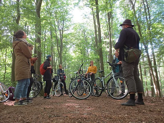 Bike excursion to the Grumsin forest in the BR Schorfheide-Chorin 